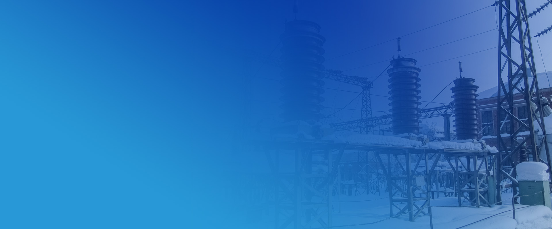Jiangsu Xinxin Electric Co., Ltd.
